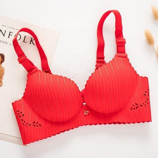 Premium Quality Bra Combo Offer