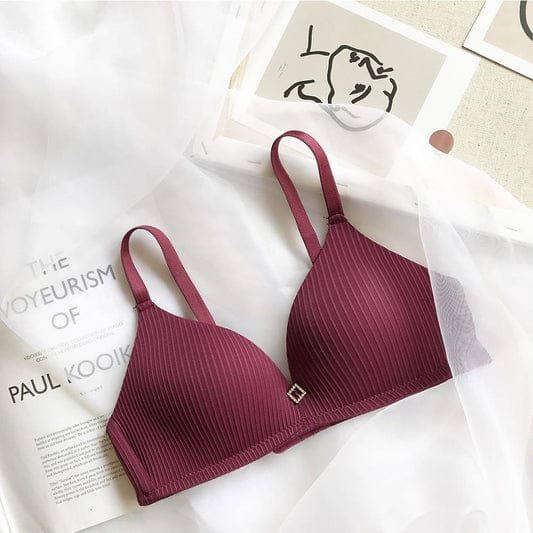 Premium Quality Bra Combo Offer