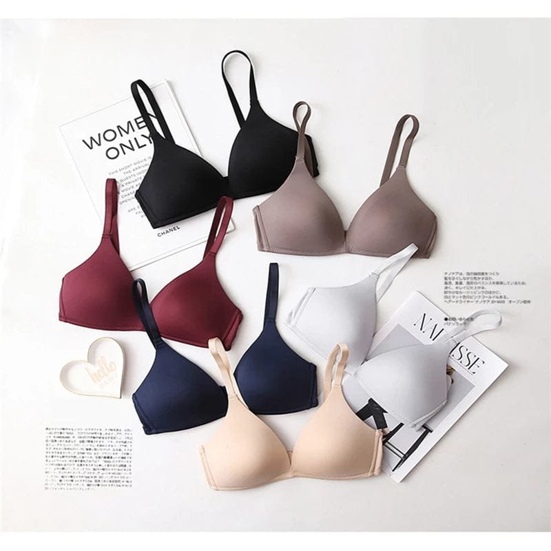 Premium Quality Bra Combo Offer