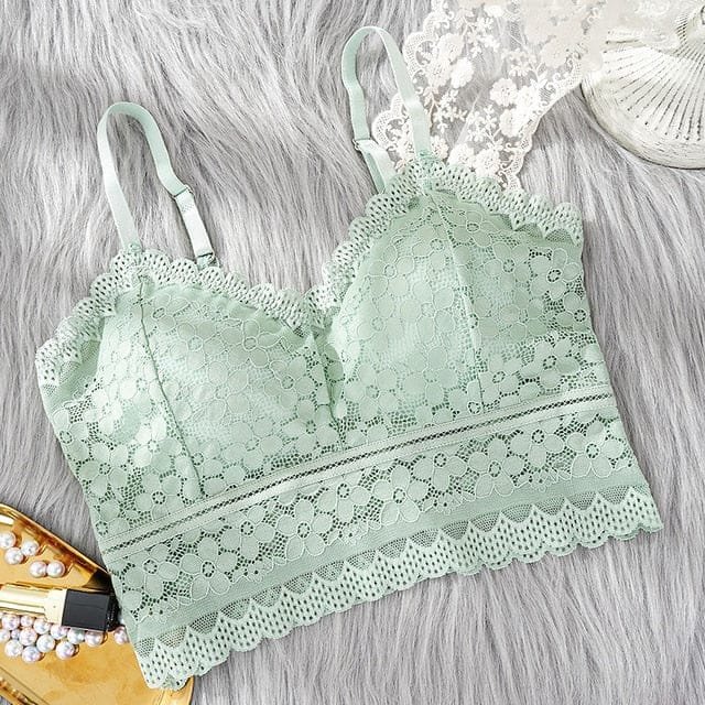 Premium Quality Bra Combo Offer