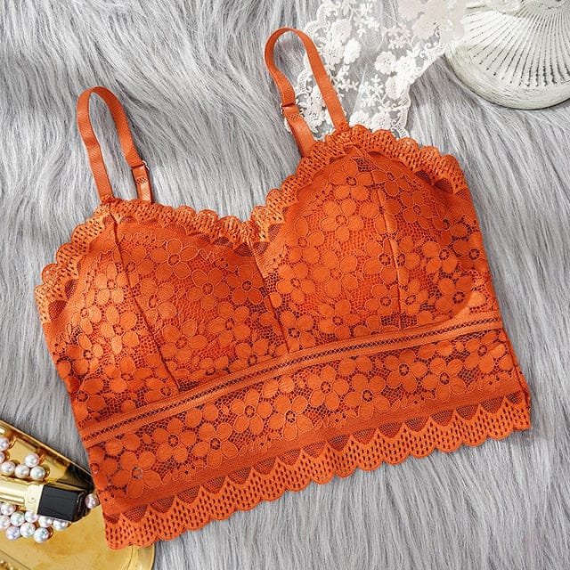 Premium Quality Bra Combo Offer