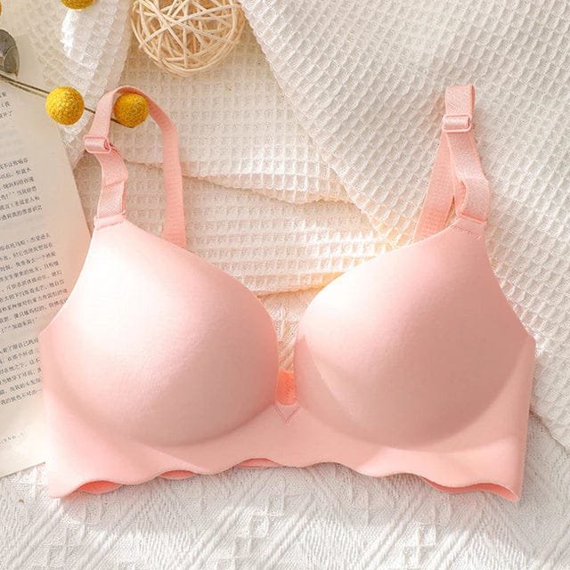 Premium Quality Bra Combo Offer