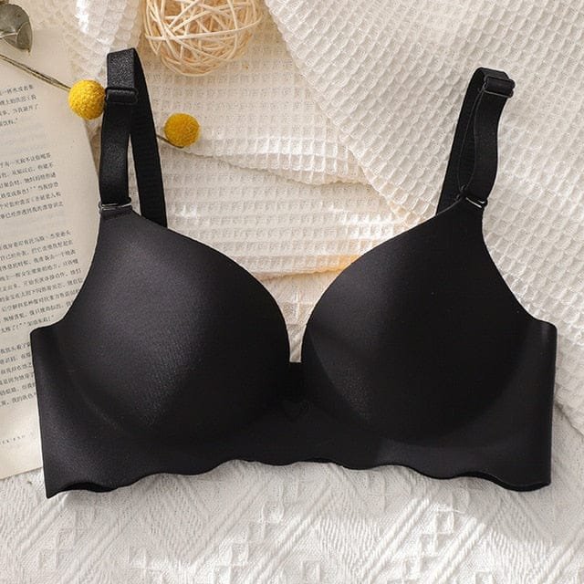 Premium Quality Bra Combo Offer