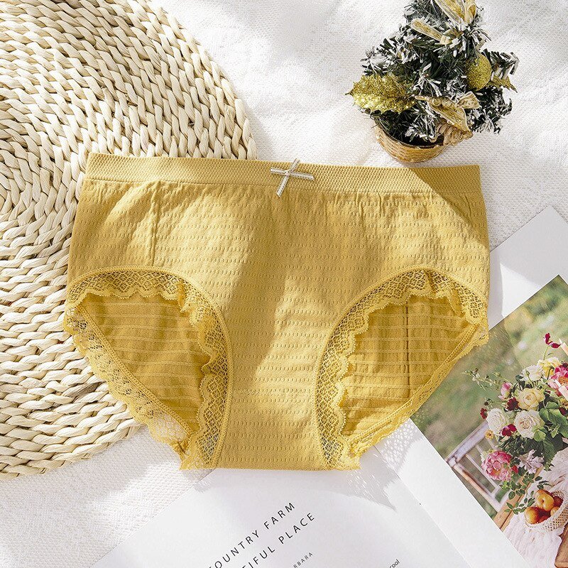 Premium Quality Bra Combo Offer