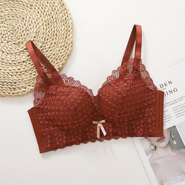 Premium Quality Bra Combo Offer