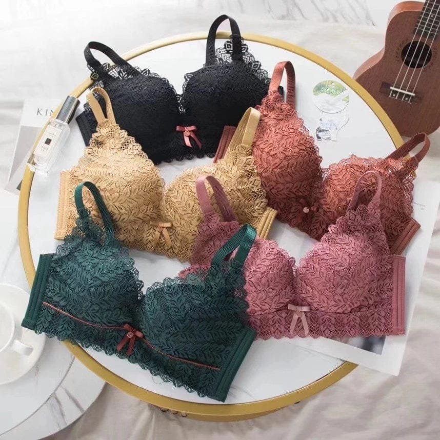 Premium Quality Bra Combo Offer