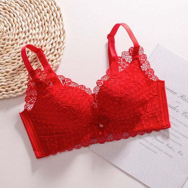 Premium Quality Bra Combo Offer