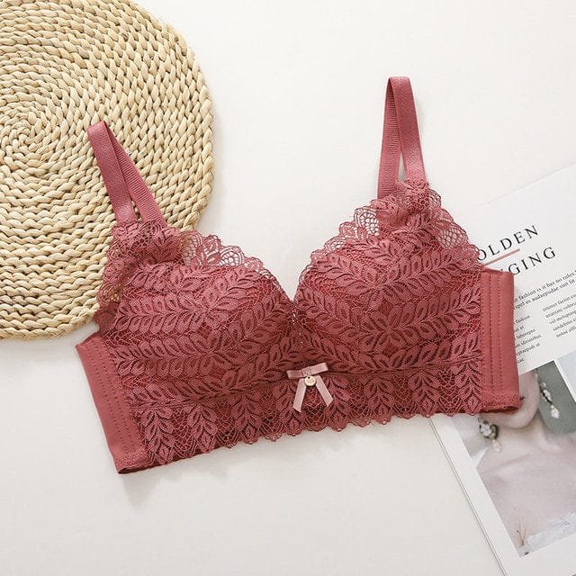 Premium Quality Bra Combo Offer